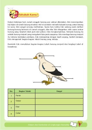 Detail Sketsa Gambar Burung Buku Siswa Tema 3 Kelas 4 Nomer 4