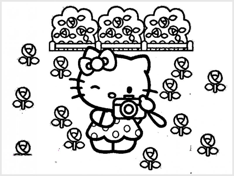 Detail Sketsa Gambar Hello Kitty Nomer 45