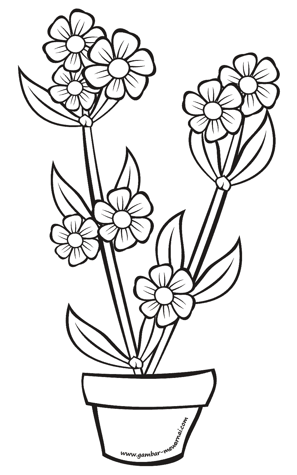 Detail Sketsa Gambar Pot Beserta Bunga Nomer 12