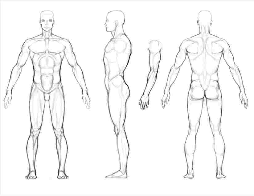 Detail Sketsa Kaki Manusia Nomer 26