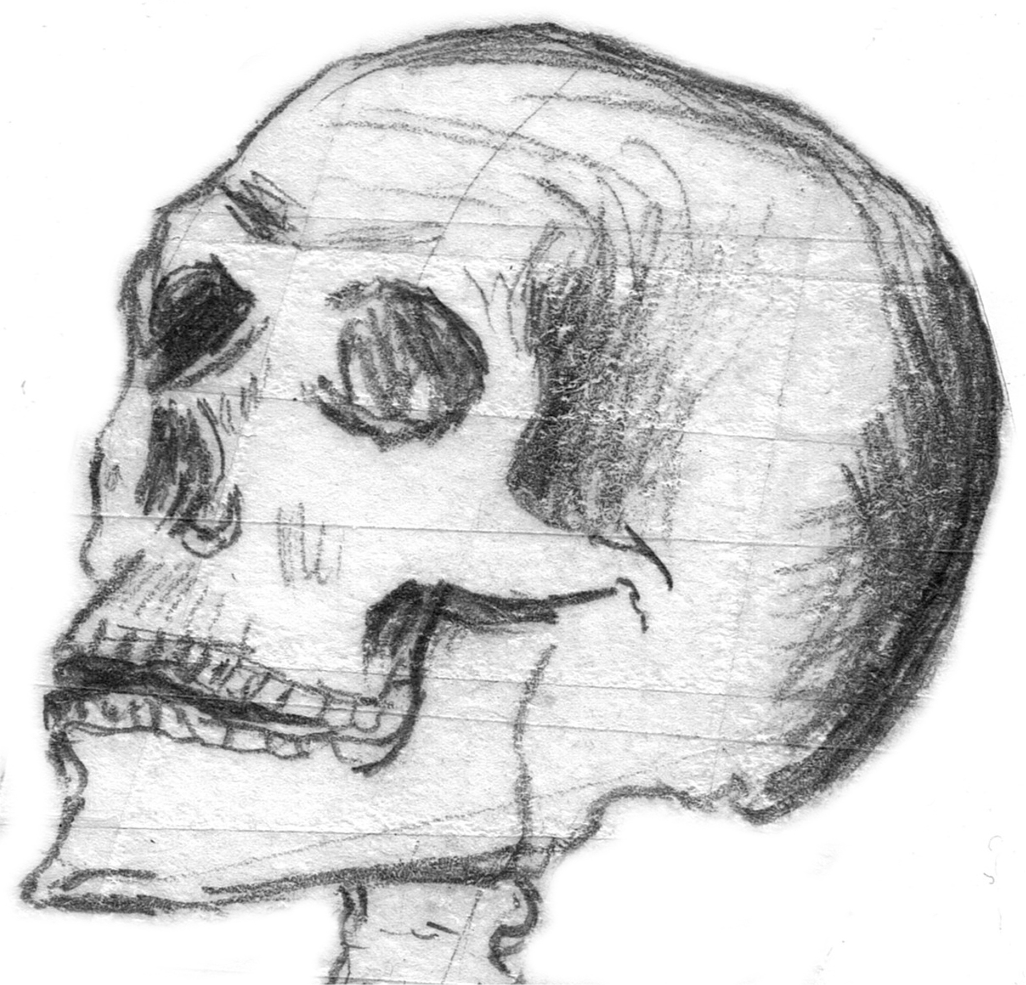 Detail Sketsa Kepala Manusia Nomer 37