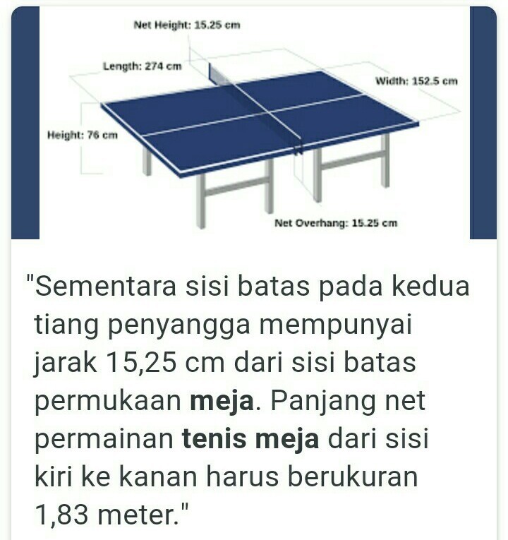 Detail Sketsa Lapangan Tenis Meja Nomer 25