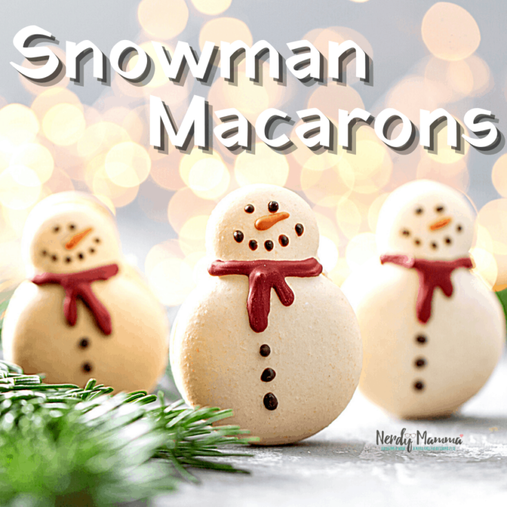 Detail Snowman Macaron Template Nomer 12