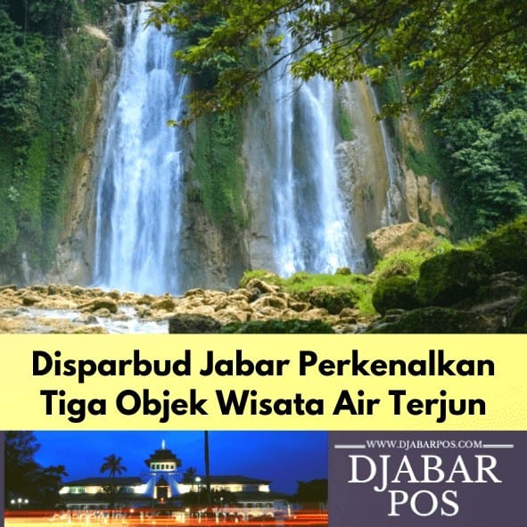 Detail Soal Gambar Hutan Untuk Pariwisata Nomer 26