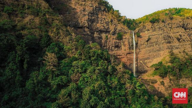 Detail Soal Gambar Hutan Untuk Pariwisata Nomer 47