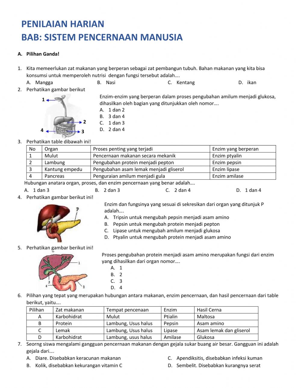 Detail Soal Gambar Pencernaan Manusia Nomer 13