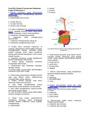 Detail Soal Gambar Pencernaan Manusia Nomer 38