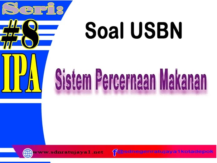 Detail Soal Gambar Pencernaan Manusia Nomer 51