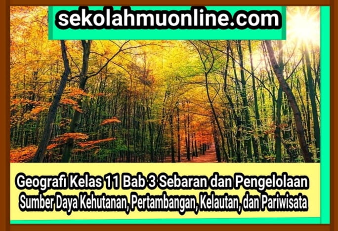 Detail Soal Geografi Sma Gambar Hutan Untuk Pariwisata Nomer 7