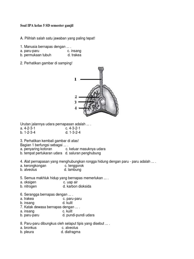 Detail Soal Menghubungkan Gambar Untuk Anak Sd Nomer 47