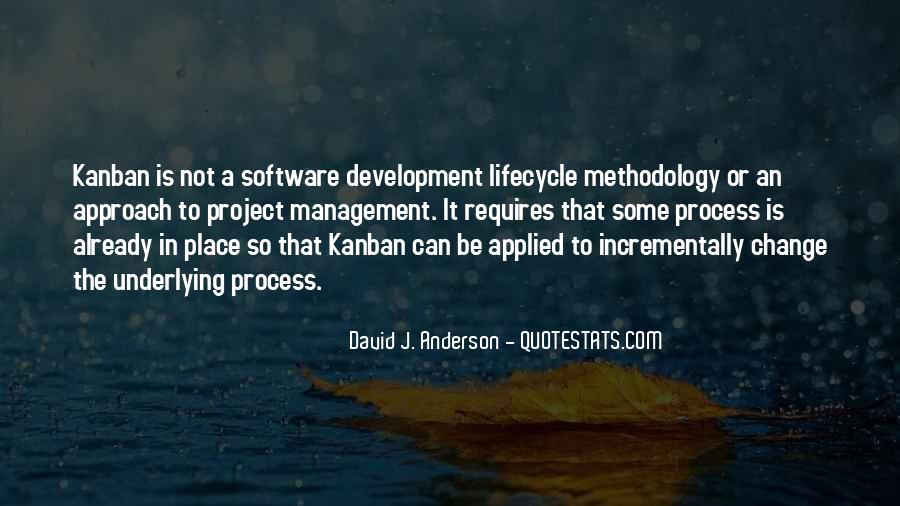 Detail Software Project Quotes Nomer 33