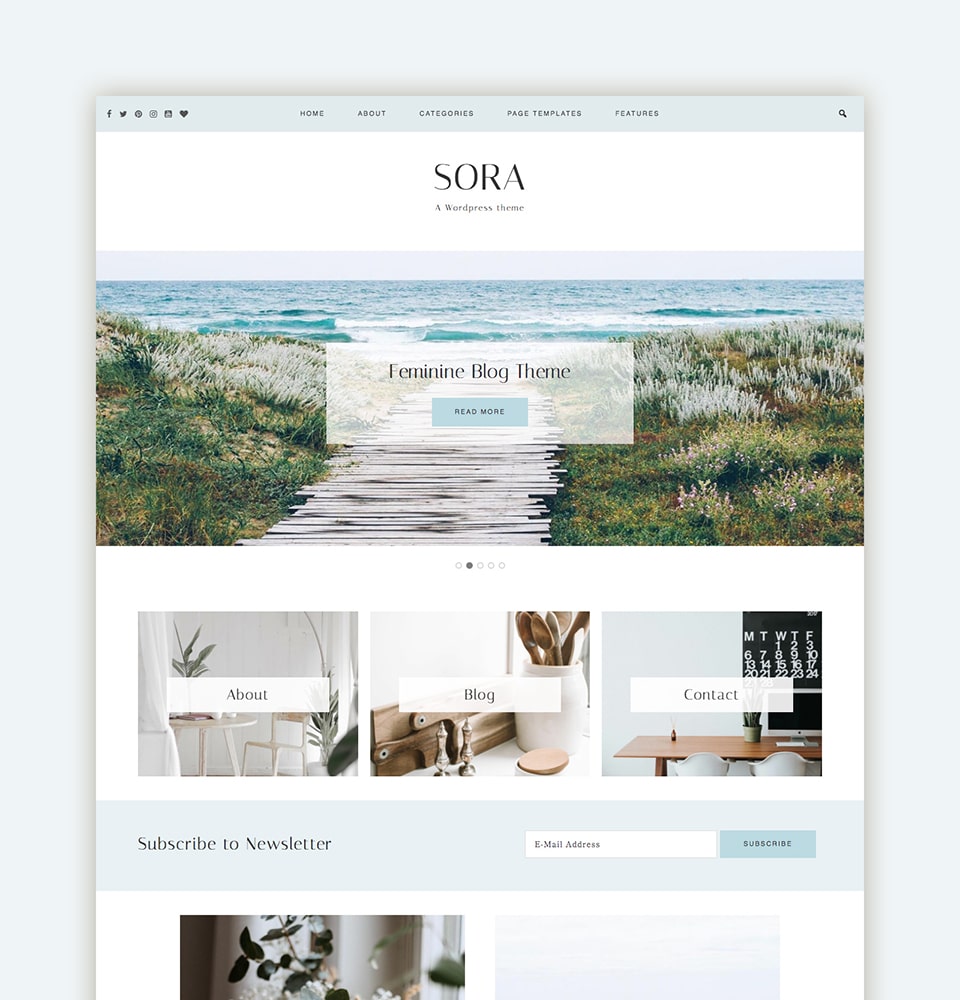 Sora Template Wordpress - KibrisPDR