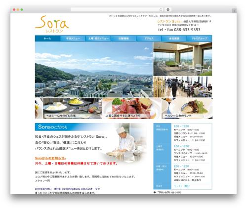 Detail Sora Template Wordpress Nomer 9
