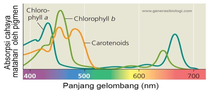 Detail Spektrum Cahaya Adalah Nomer 23