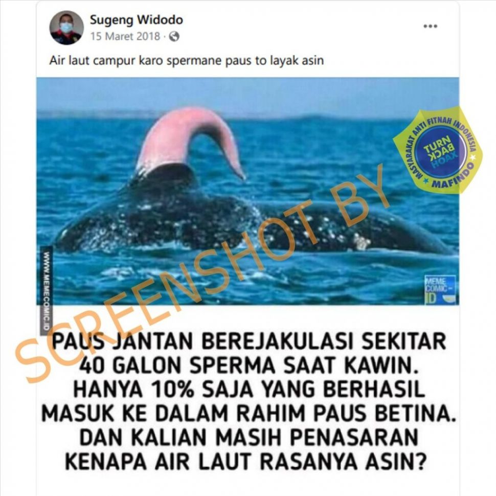 Detail Sperma Ikan Paus Nomer 12