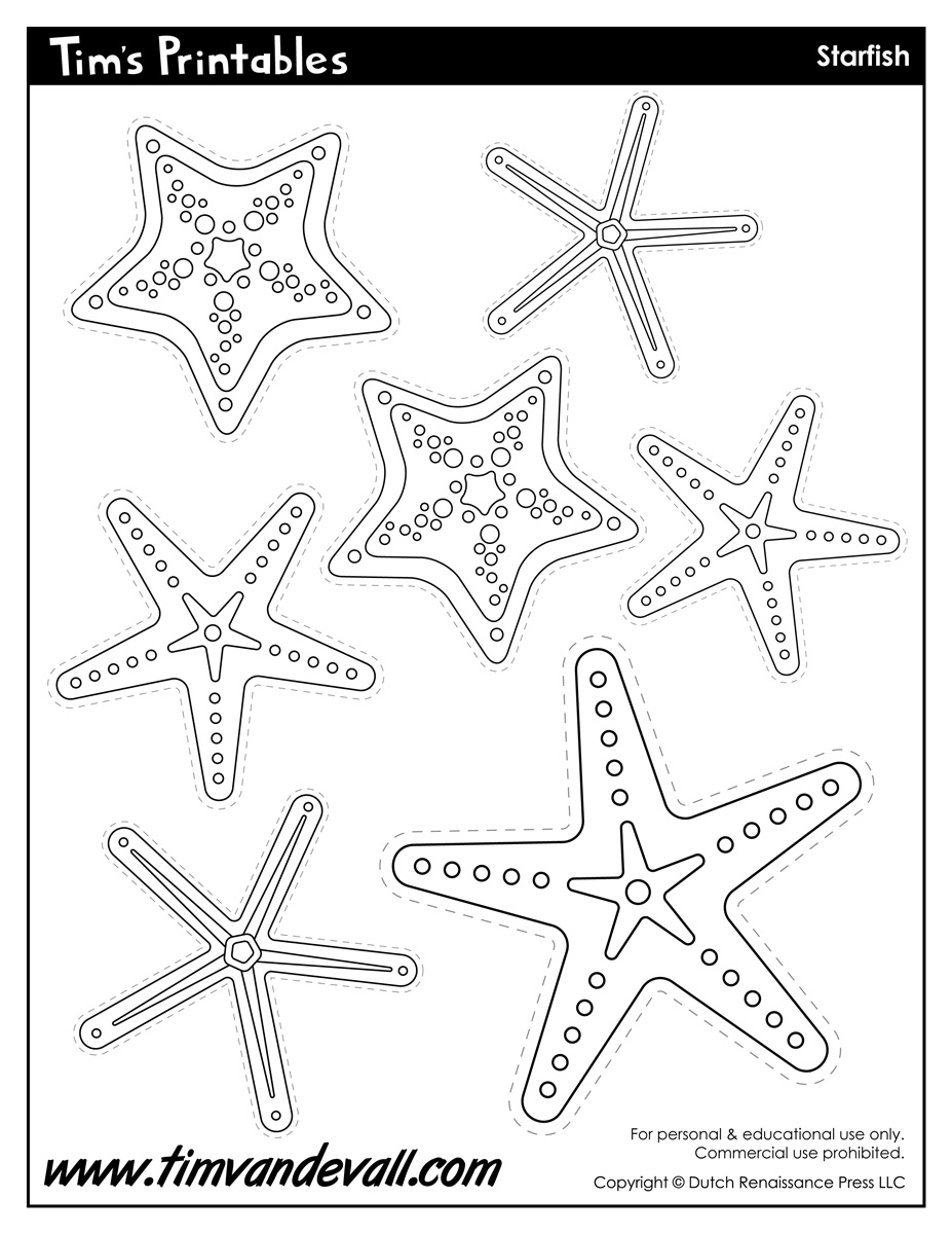 Detail Starfish Template To Print Nomer 11