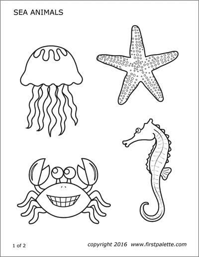 Detail Starfish Template To Print Nomer 17