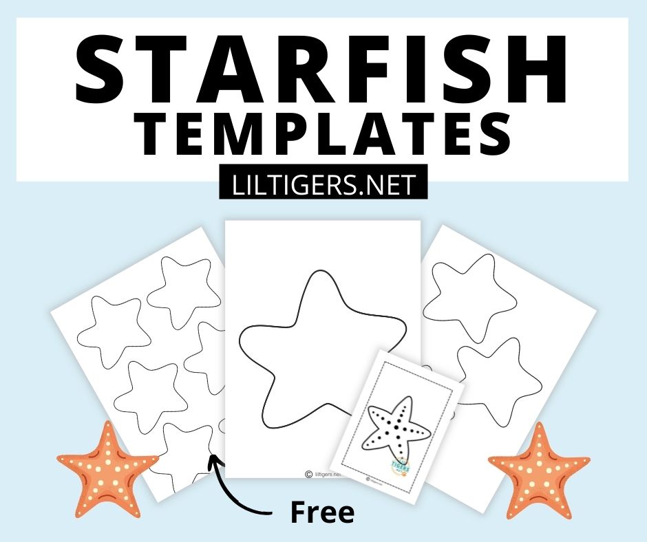 Detail Starfish Template To Print Nomer 23