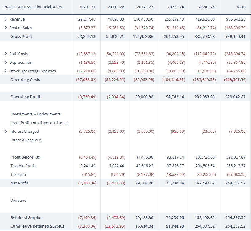 Detail Startup Financials Template Nomer 29