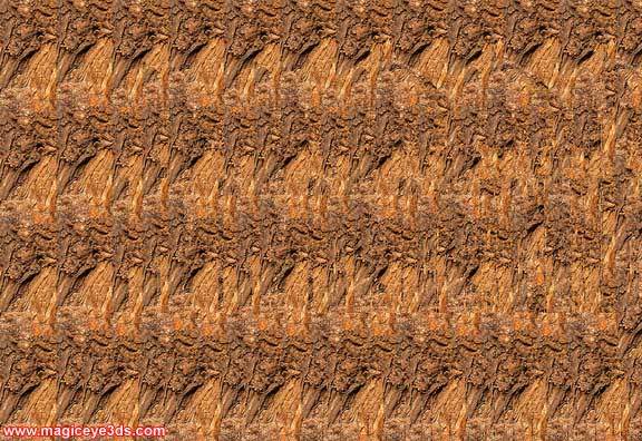 Detail Stereogram Untuk Pemula Nomer 29