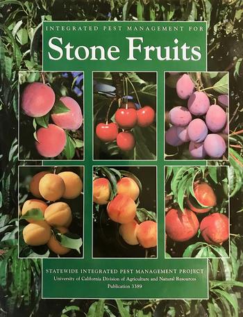 Detail Stone Fruit Adalah Nomer 37