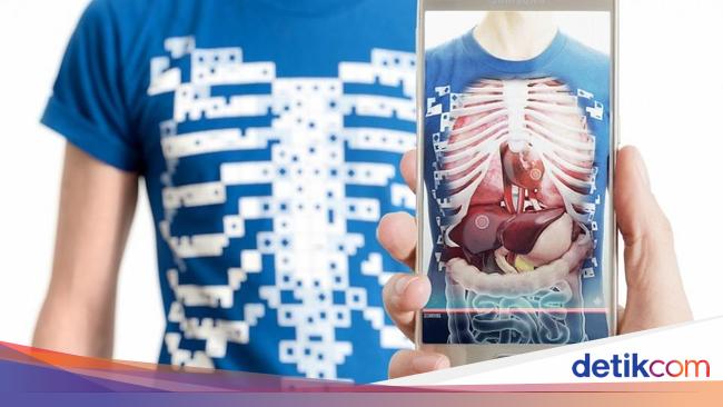 Detail Struktur Dan Fungsi Organ Manusia Beserta Gambar Nomer 29