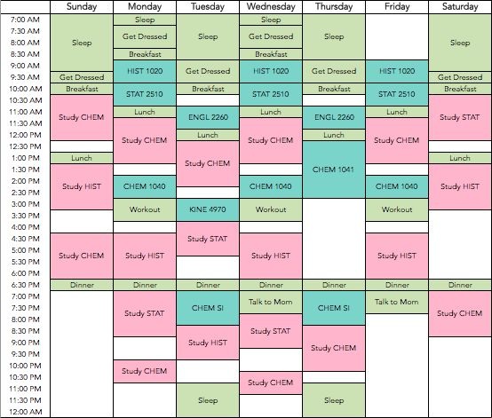 Detail Study Plan Template Nomer 43