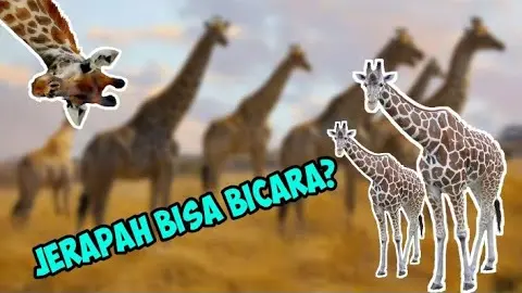 Detail Suara Jerapah Nomer 9
