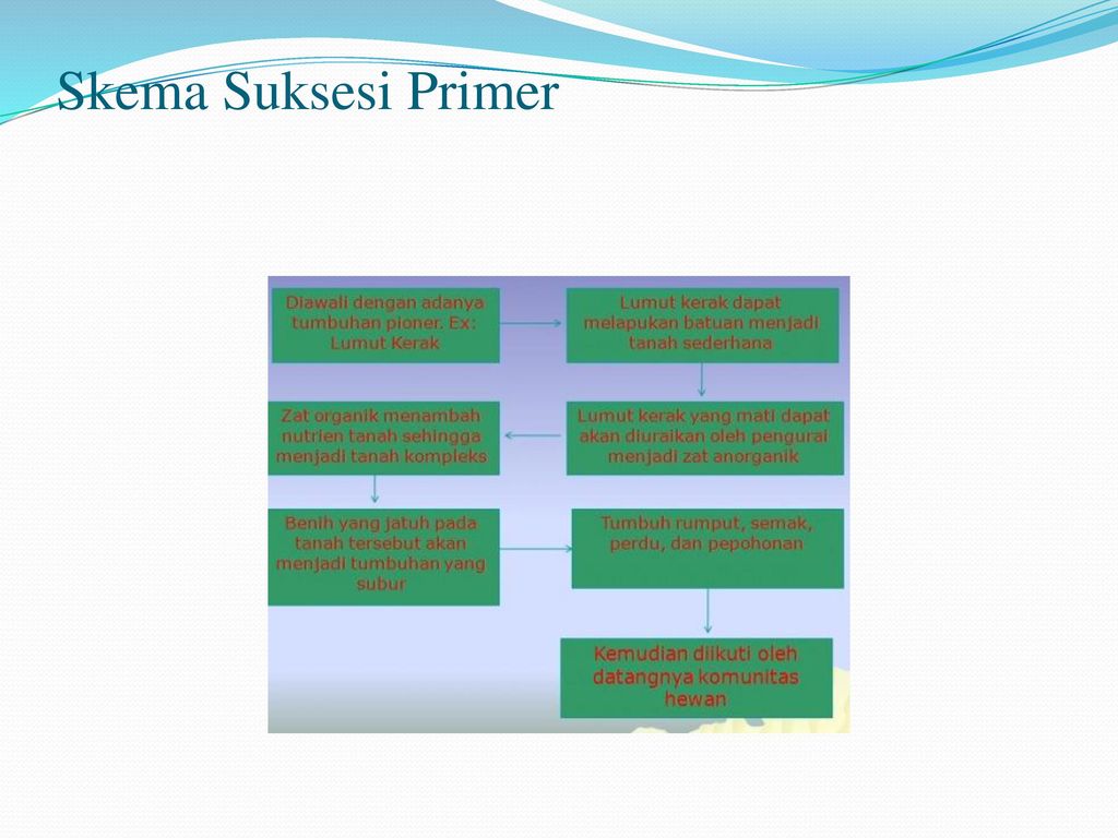 Detail Suksesi Primer Adalah Nomer 28