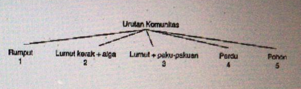 Detail Suksesi Primer Adalah Nomer 29