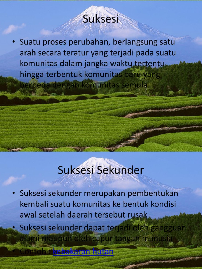 Detail Suksesi Primer Adalah Nomer 33