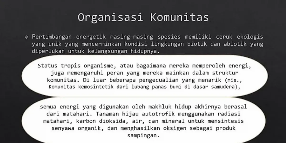 Detail Suksesi Primer Adalah Nomer 41