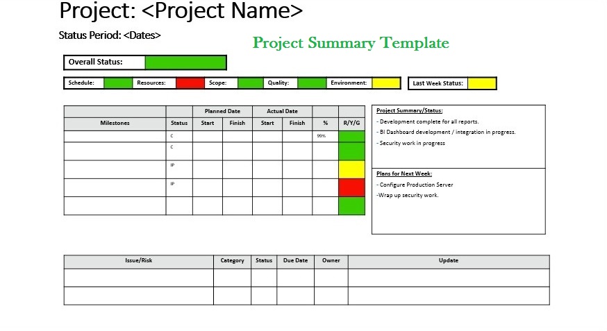 Detail Summary Format Template Nomer 40