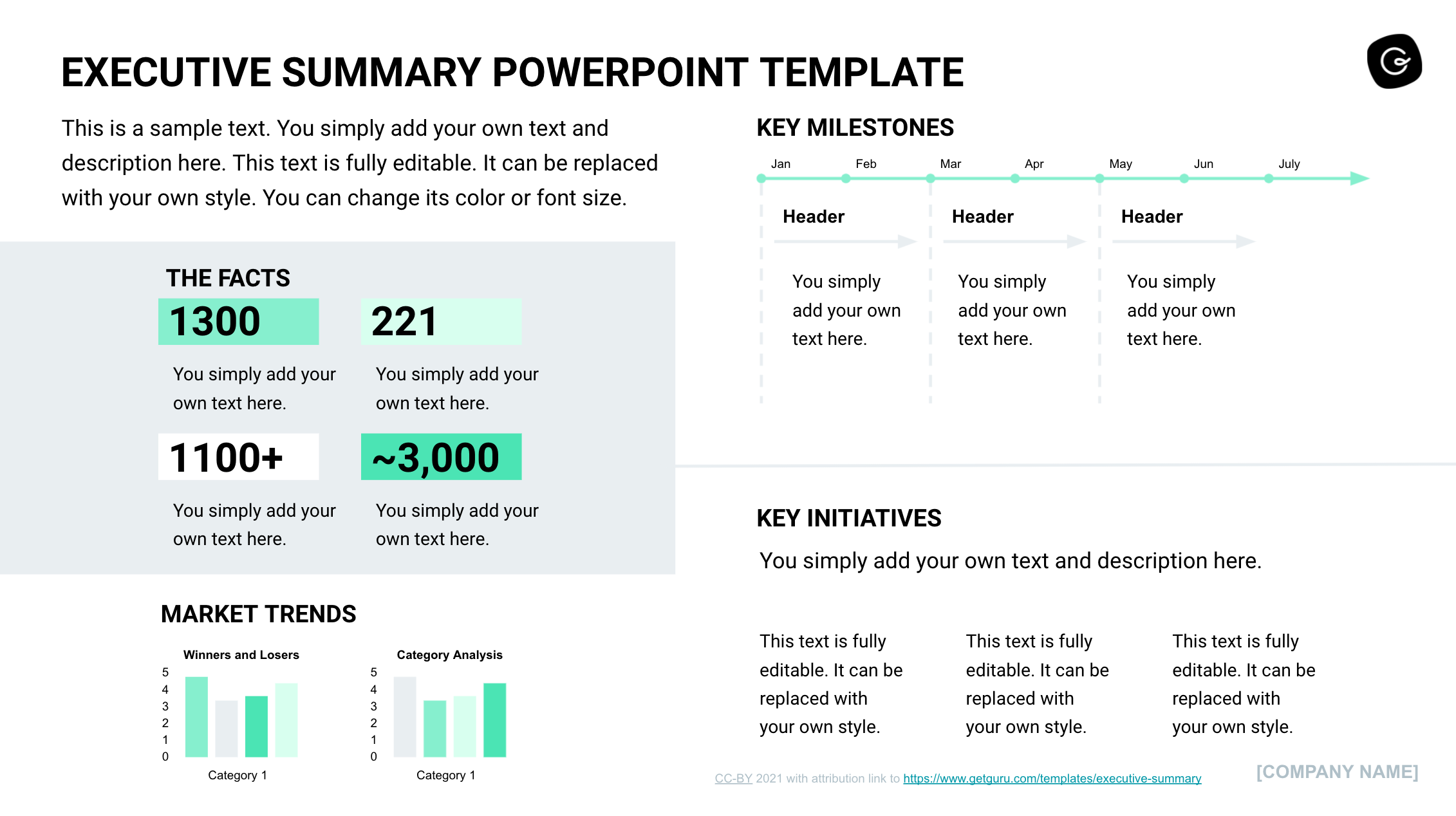 Detail Summary Format Template Nomer 46