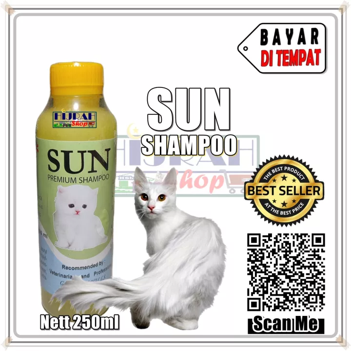 Detail Sunlight Untuk Kucing Nomer 12
