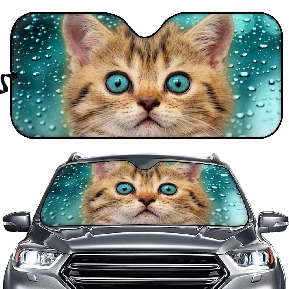 Detail Sunlight Untuk Kucing Nomer 21