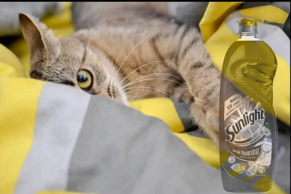 Detail Sunlight Untuk Kucing Nomer 8