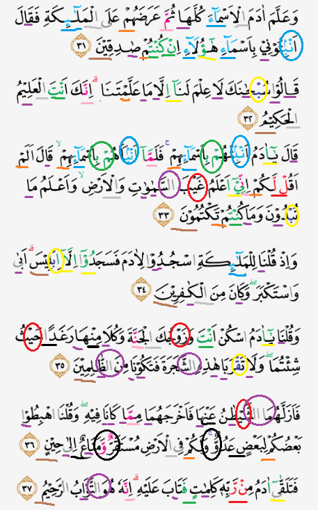 Detail Surat Al Baqarah Ayat 1 10 Beserta Tajwidnya Nomer 10