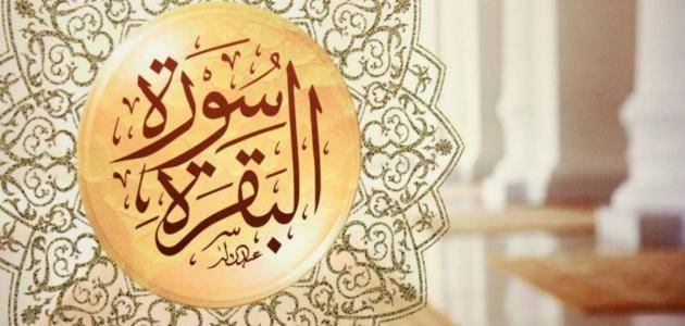 Detail Surat Al Baqarah Ayat 184 Beserta Artinya Nomer 26