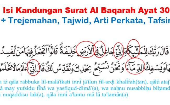 Detail Surat Al Baqarah Ayat 30 31 Dan Artinya Nomer 25