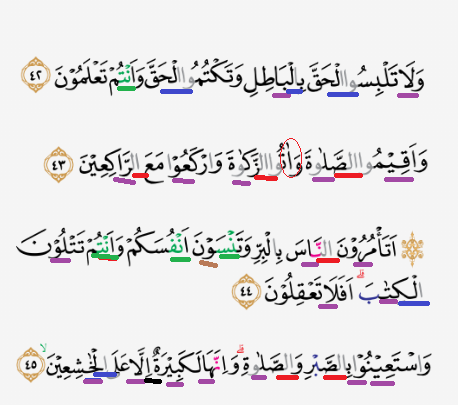 Detail Surat Al Baqarah Ayat 42 Beserta Artinya Nomer 20