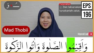 Detail Surat Al Baqarah Ayat 42 Beserta Artinya Nomer 45