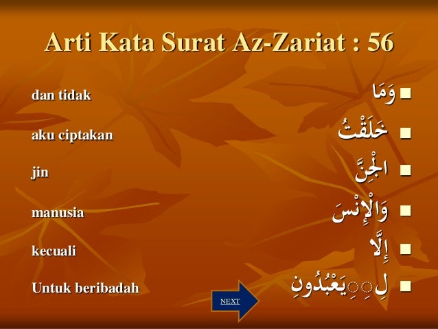 Detail Surat Al Dzariyat Ayat 56 Dan Artinya Nomer 49