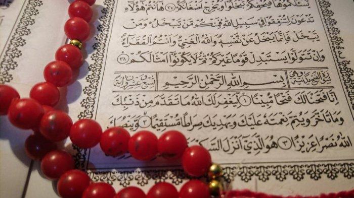 Detail Surat Al Fath Ayat 29 Latin Dan Artinya Nomer 6