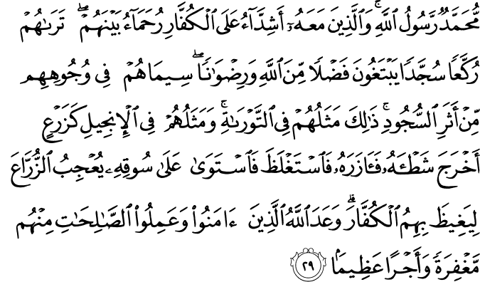 Detail Surat Al Fath Ayat 29 Latin Dan Artinya Nomer 8