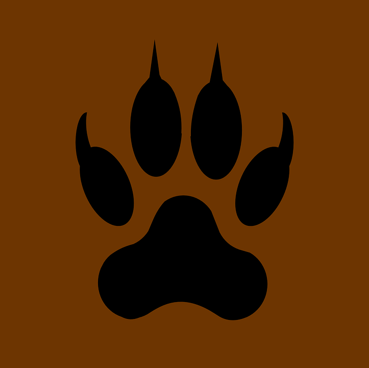 Detail Brauner Wolf Nomer 3