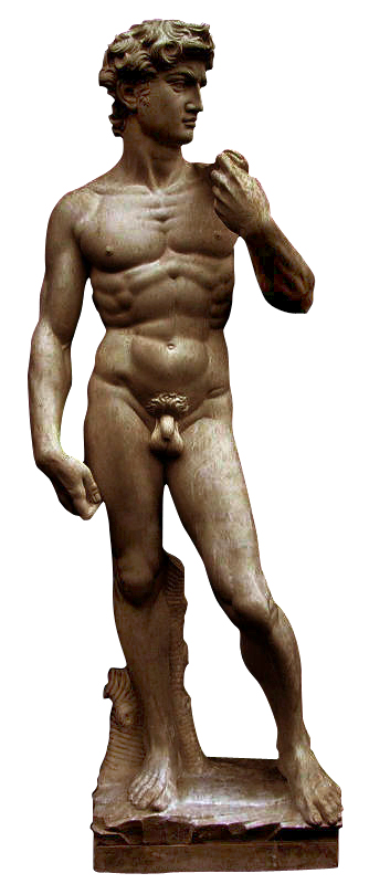 Detail David Statue Kaufen Nomer 14