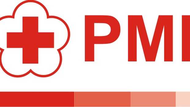 Detail Download Logo Pmi Format Jpeg Nomer 39