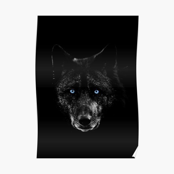 Detail Schwarzer Hund Blaue Augen Nomer 5