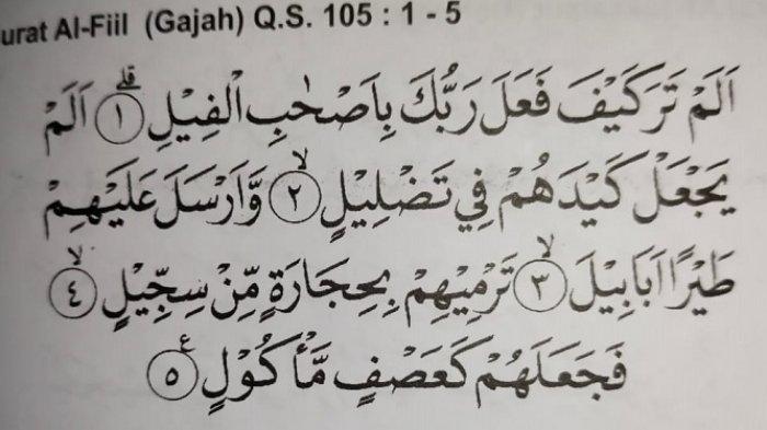 Detail Surat Al Fiil Surat Ke Berapa Nomer 7